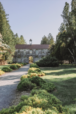 A charming scene in the Shenandoah Valley, surrounded by lush greenery.